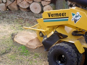 essouchage, enlever une souche d'arbre