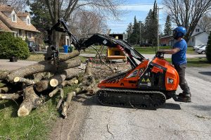 équipement d'arboriculteur