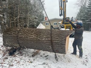 service de grue arboriculteur